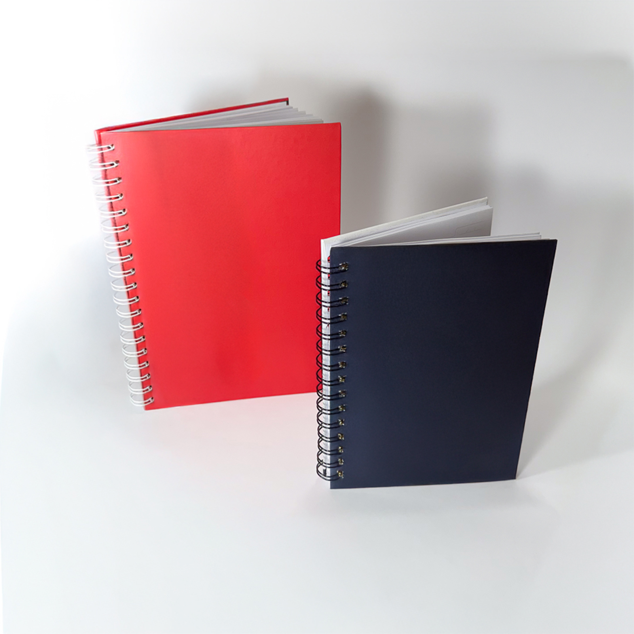 Caderno Capa Dura 18x25cm - Capa Colorida e Miolo 1x1 cor - 100 fls - 200 páginas Sulfite 75g - F8